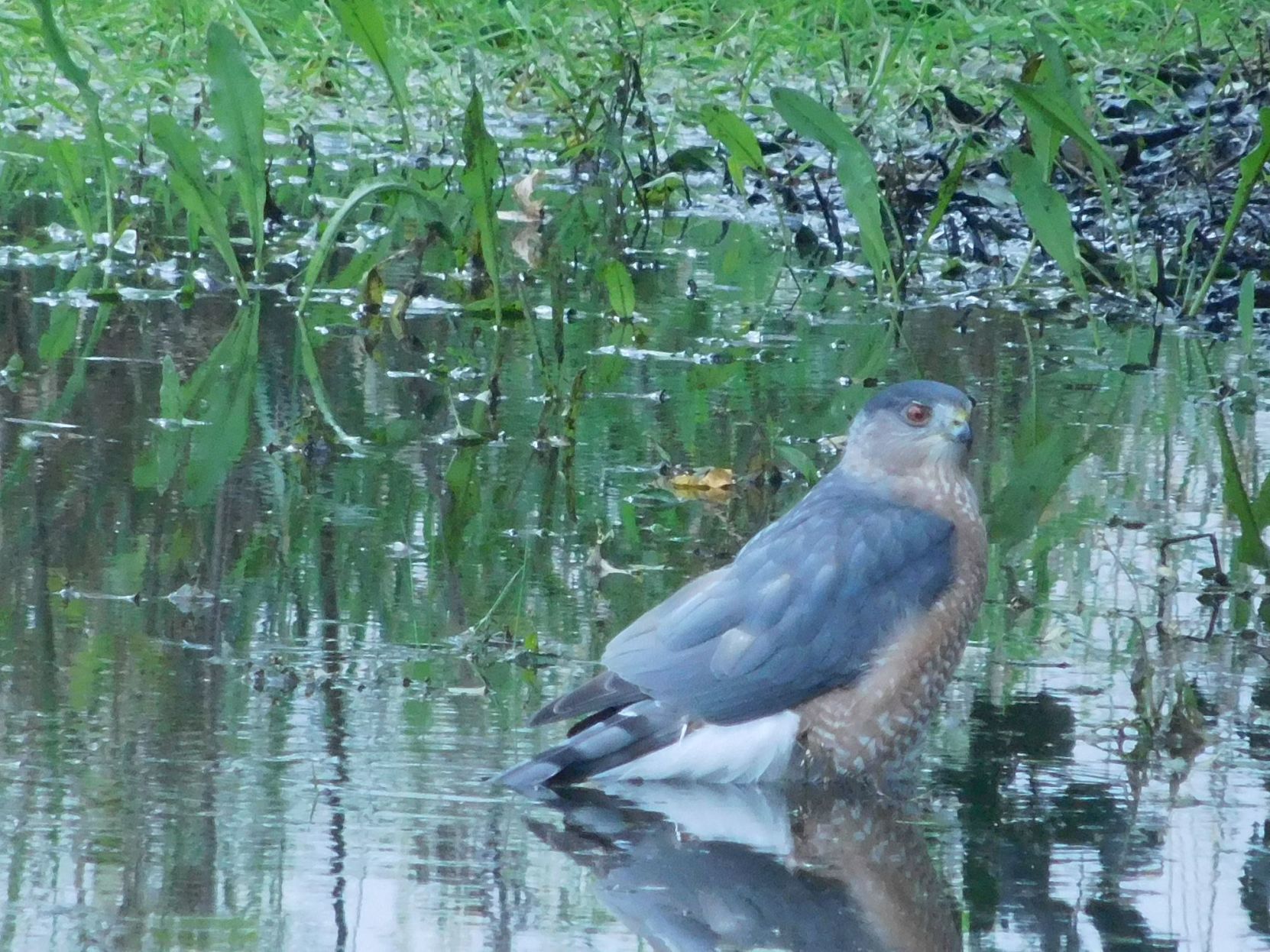 Taking a Water Break
